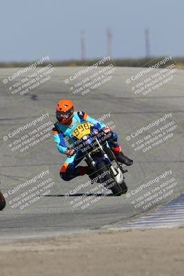 media/Oct-29-2023-Carters at The Track (Sun) [[b2bb4383ab]]/B Plus/120pm (Outside Grapevine)/